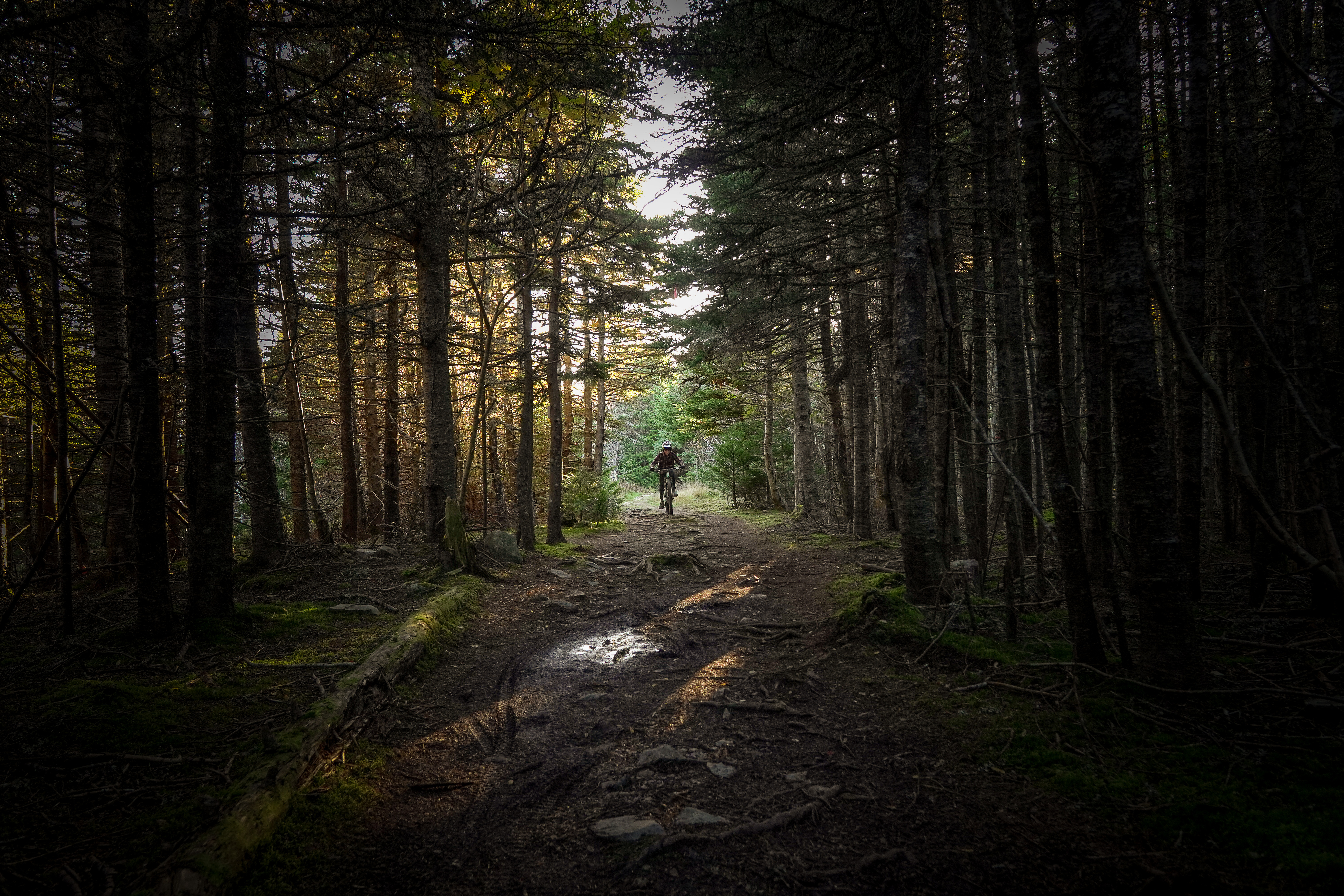 Trail Running