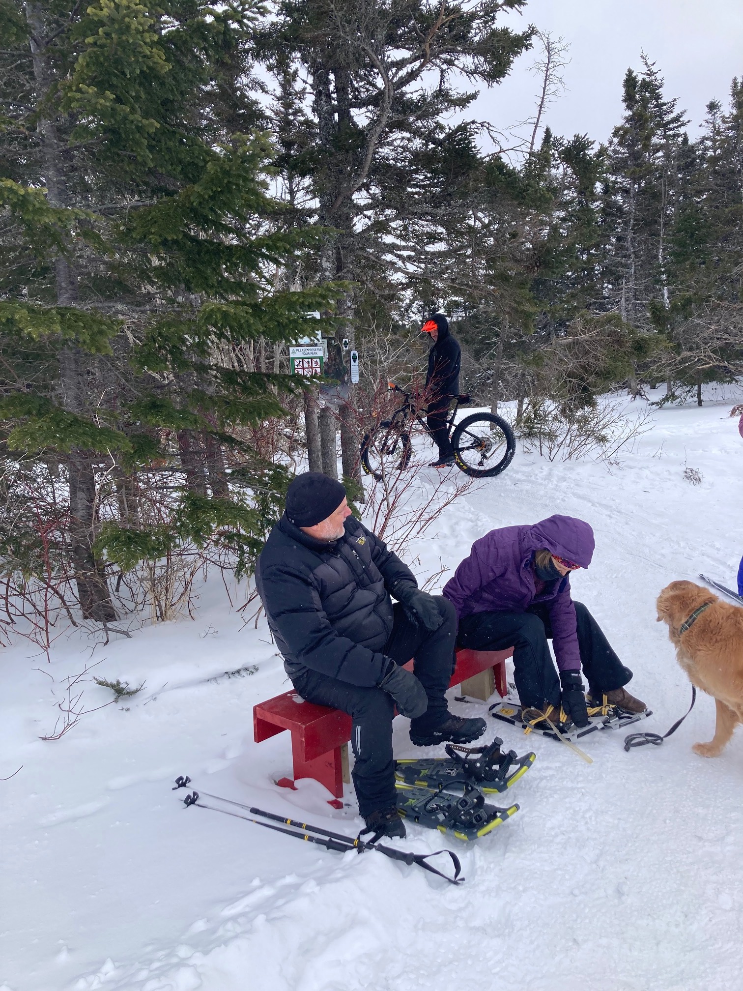 Snowshoeing, Walking, and Hiking