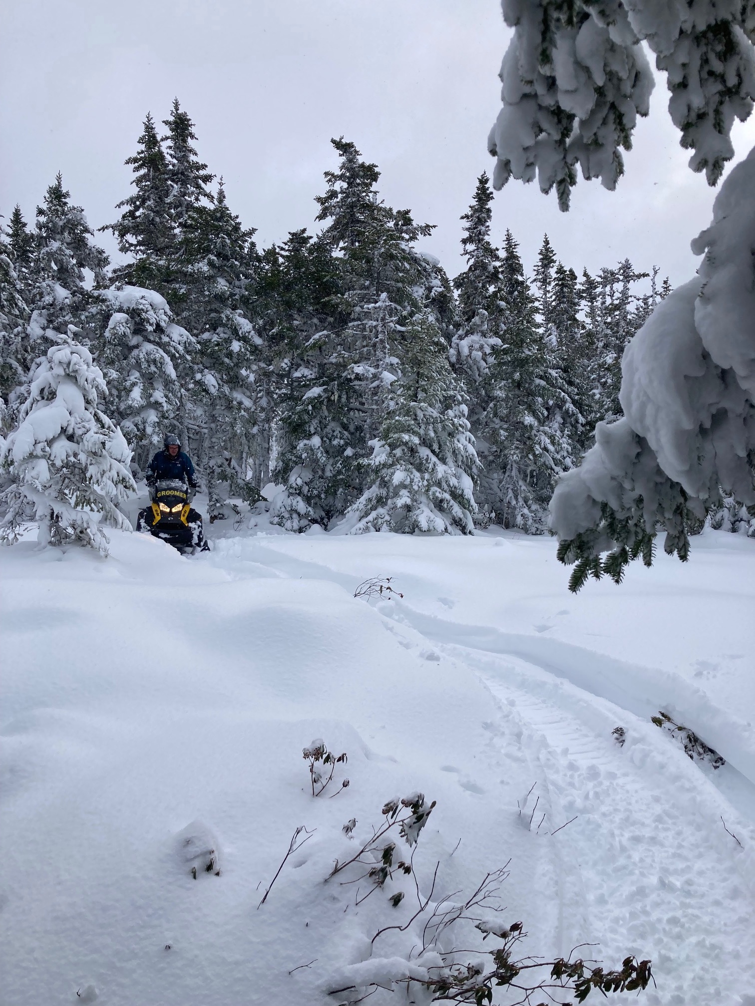 Pippy Park Loop trail conditions