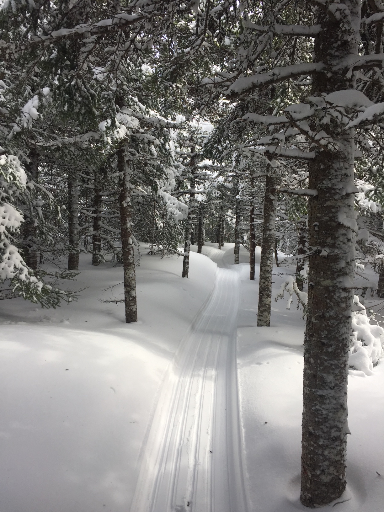 Narrow groomed winter trail